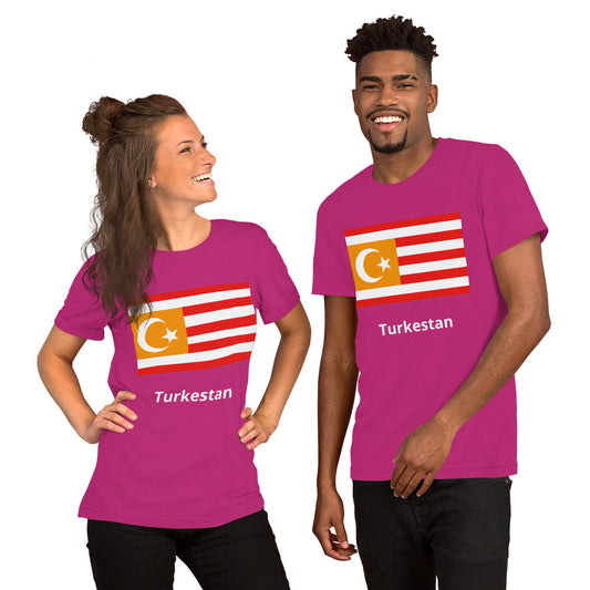 Turkestan flag Unisex t-shirt