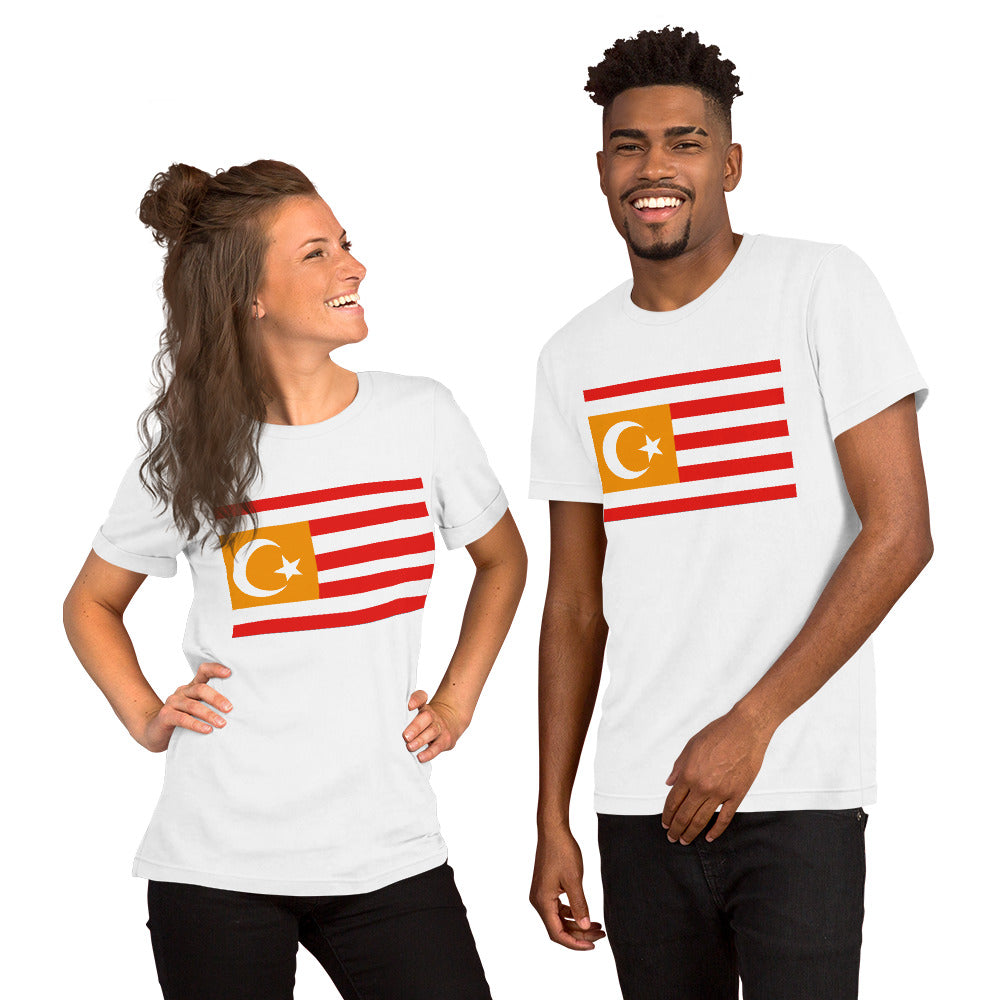 Turkestan flag Unisex t-shirt